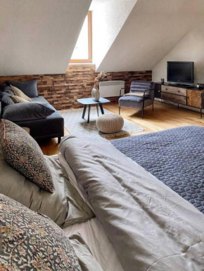 Cozy and warm apartment in the heart of Karlsbad, Karlovy Vary